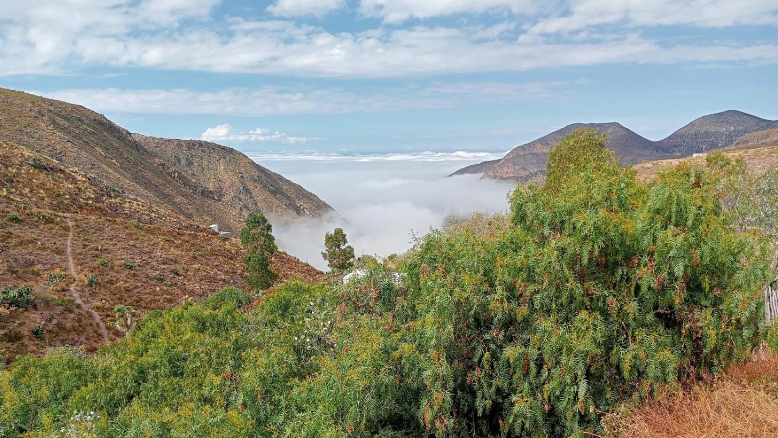 Ventana Al Desierto Guest House Catorce Luaran gambar